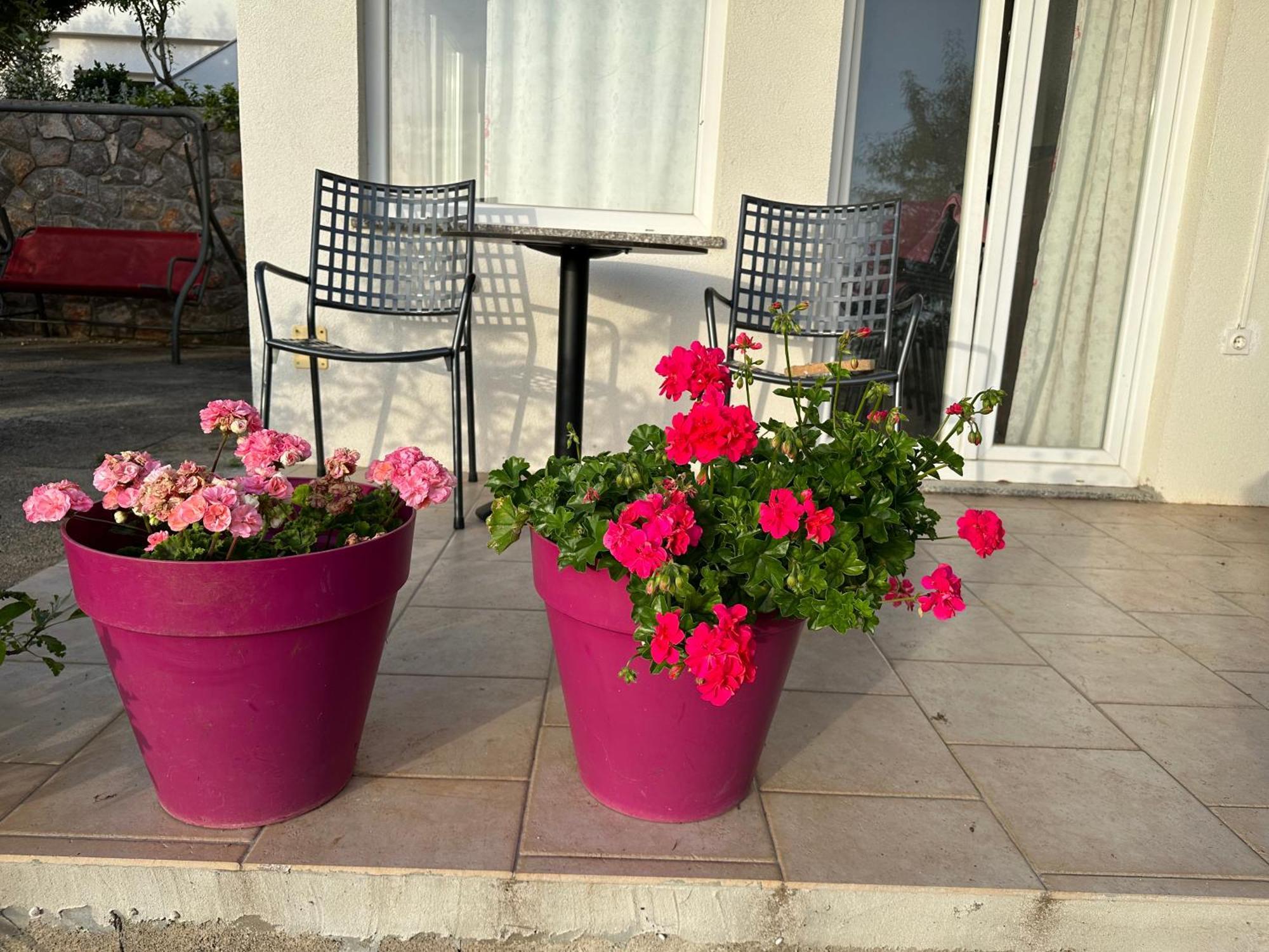 Villa Beba - Apartments Сен Екстериор снимка